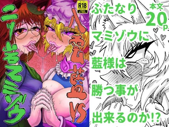 八雲藍VS二ッ岩マミゾウ  赤城砂丘