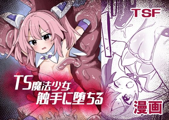 TS魔法少女、触手に堕ちる  さね野郎
