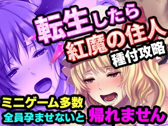 【50%OFF】 転生したら紅魔館の住人だった件 PCダウンロード  夢幻Paradox