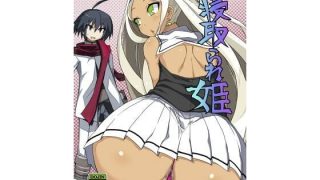 【エロ同人】寝取られ姫