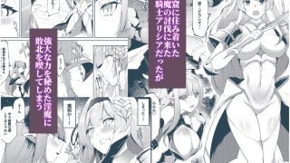 【エロ同人】プリンセスフェチズム ―淫魔に足と脇を調教され変態魔族になる姫騎士物語―