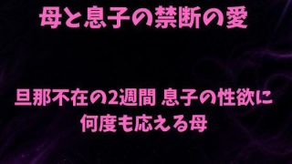 【エロ同人】母と息子の禁断の愛〜旦那不在の2週間 息子の性欲に何度も応える母〜