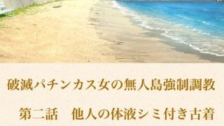 【エロ同人】破滅パチンカス女の無人島強●調教 第二話  他人の体液シミ付き古着パンティ…