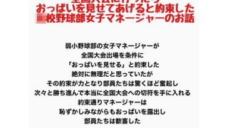 【エロ同人】全国大会に行ったらおっぱいを見せてあげると約束した●●野球部女子マネージャ…