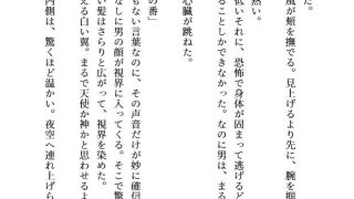 【エロ同人】白翼の番に囚われて