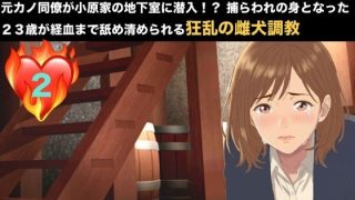 【エロ同人】【NTRお仕置き・続編】元カノ同僚が小原家の地下室に潜入！？ 捕らわれの身…