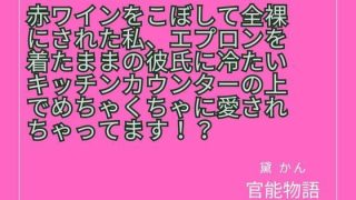 【エロ同人】赤ワインをこぼして全裸にされた私、エプロンを着たままの彼氏に冷たいキッチン…