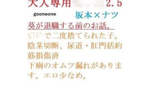【エロ同人】大人専用●●●2.5