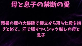 【エロ同人】残暑の蔵の大掃除で脚立から落ちた母を抱きとめて。汗で張りつくシャツ越しの母…