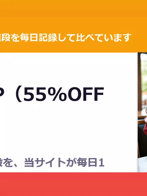 SK-H ZIP（55%OFF・49円）