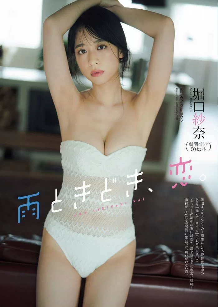 堀口紗奈の水着グラビア画像12枚