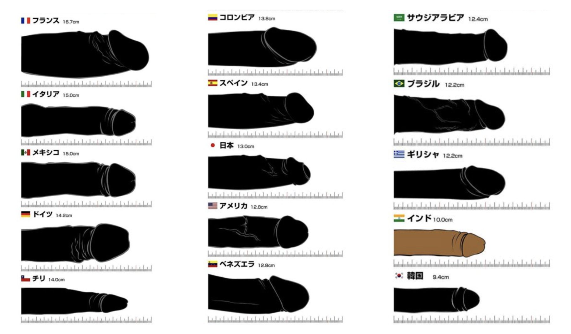 【画像】国別のペニスの平均サイズがこちらｗｗｗｗｗｗｗｗｗｗ