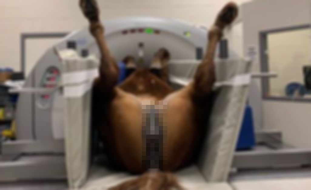 【画像】メスさん、大開脚で検査しているところを撮影されてしまう（モザイク無し）ｗｗｗｗｗｗｗ