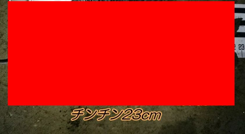 【画像】23cmのチンチン無修正画像、晒すｗｗｗｗｗｗｗｗ