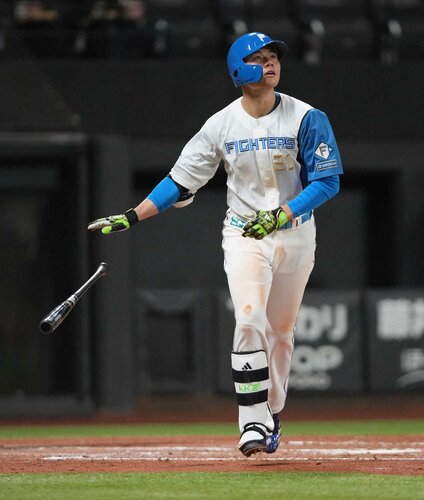 野球界の夢と挑戦を追いかけて