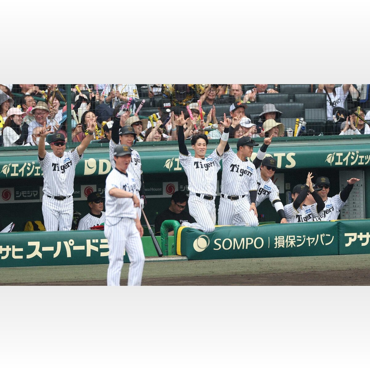 【名采配】藤川監督が仕掛けた逆転劇！