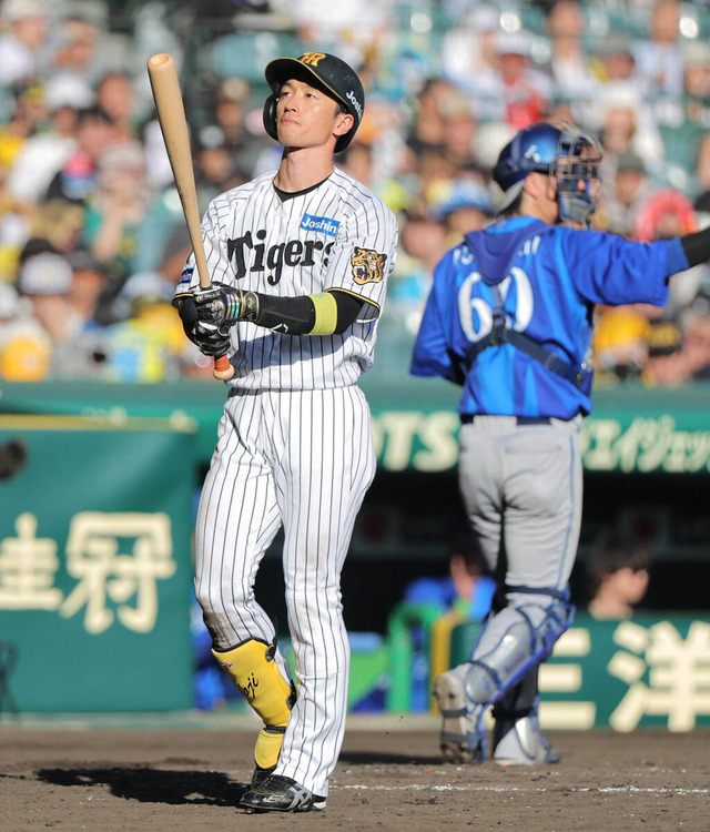 CSで近本光司が18打席ノーヒット——得点圏の打席で肩が先に落ちた瞬間を残心で見る