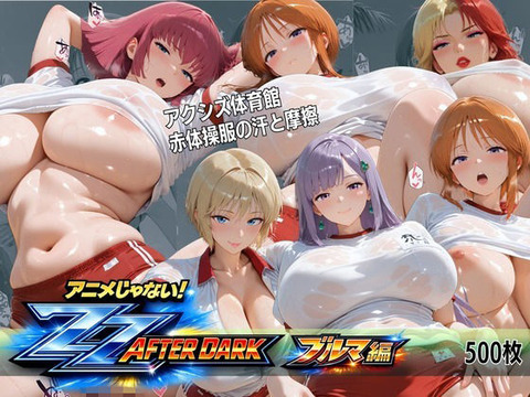 （ＡＩ）アクシズ体育館 赤体操服の汗と摩擦 ZZアフターダーク 密着五感CG集（ガンダムZZ）