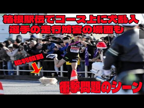 【犬が…箱根ランナー危機一髪！】箱根駅伝、コース上に犬が乱入…ポメラニア〜ン、ジャーンプで回避もSNSで物議！