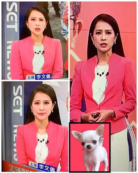 「胸元がチワワにしか見えない」画像をリポストしたら…奈良美智さんの「まさかの展開」が話題！