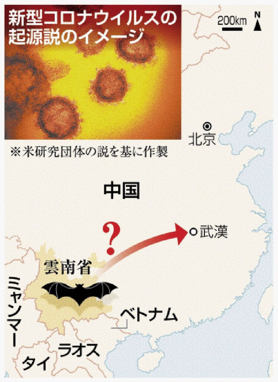 コウモリ由来の「新たなコロナウイルス」が中国で発見、米CDCの見解は？
