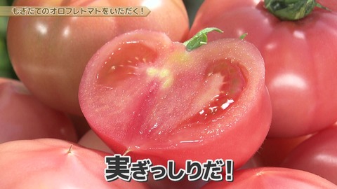 【旬報】壮瞥町名産「オロフレトマト」温泉熱で育つ絶品が今年も出荷開始！