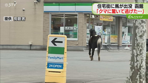 【北海道】函館の住宅街でポニー逃走 小学校の校庭で無事確保 www