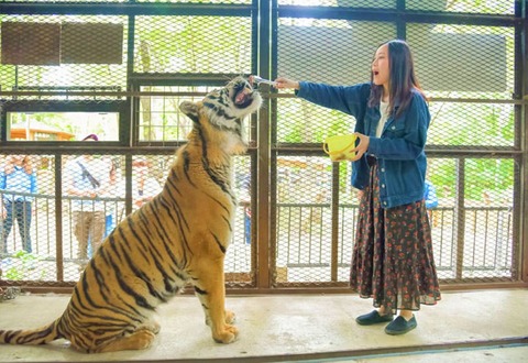北海道・ノースサファリサッポロが宿泊施設許可を迫る！