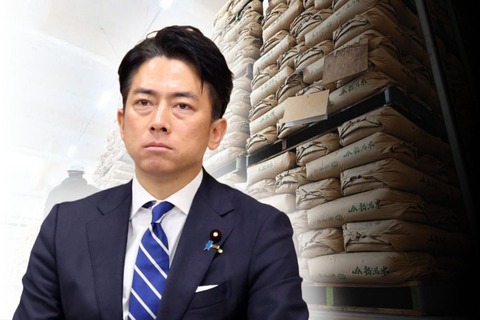 小泉進次郎農相に鈴木貴子氏が苦言「コメ5kg2000円は……」