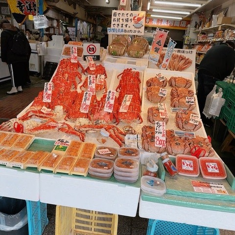 【北海道】元ギャルママモデルが北海道市場で1600円値引き交渉成功！