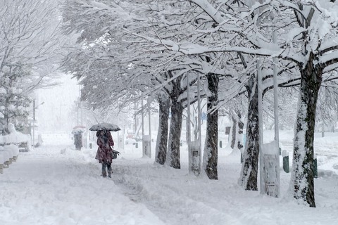 【悲報】明日から北海道に大雪警報発令や！どうすんのこれ？