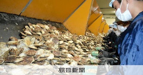 【ホタテ大逆転劇】日本産ホタテ“脱中国”輸出大成功！wwwwwww
