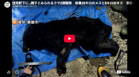 京都で初の緊急銃猟──クマより怖いのは人間か！
