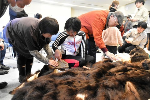 【北海道】ヒグマ遭遇時の対処法『あ・さ・は・ゆ・き』とは？