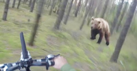 【北海道】北広島市でクマが高校生を追いかける騒動 自転車で逃げ切る！