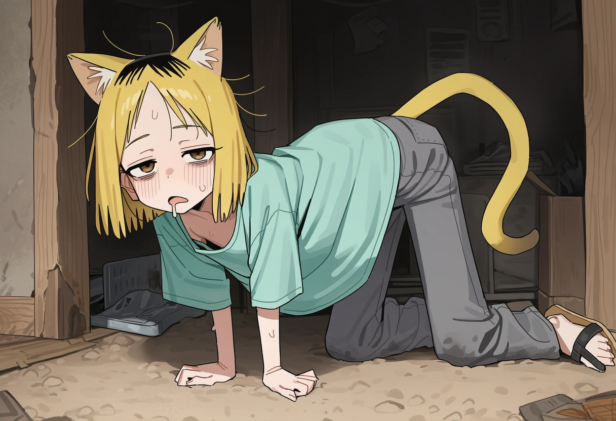 ヤクねこ(1/2)
