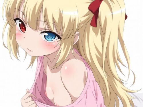 【画像】お前らっていつからロリ巨乳嫌いになったのｗｗ