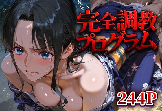 【ワンピース エロ同人】 完全調教プログラム_ロビン