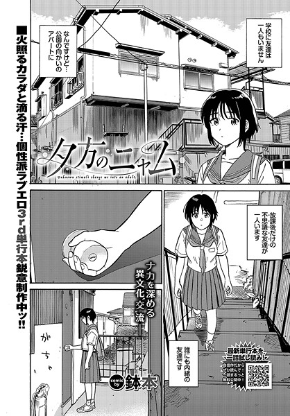 【エロ漫画】 夕方のニャム  鉢本 コミックバベル編集部