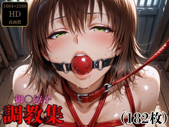 【To LOVEる エロ同人】 御〇涼子  調教集