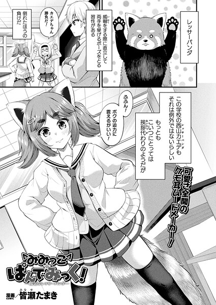 【エロ漫画】 みみっこ・ぱんでみっく！―陽気なレッサーパンダ―【単話】  皆瀬たまき