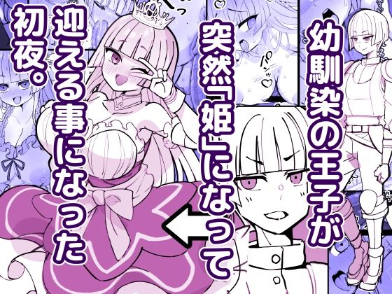 【エロ同人】幼馴染の王子が姫へ変身し、巨乳の新しい夜を迎えるファンタジー物語！の続きを読むｗ