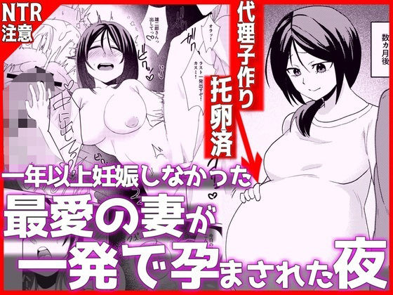 【エロ同人】人妻の美乳を狙う密会、彼女の中出しを狙う背徳の夜と絶頂のフェラｗ