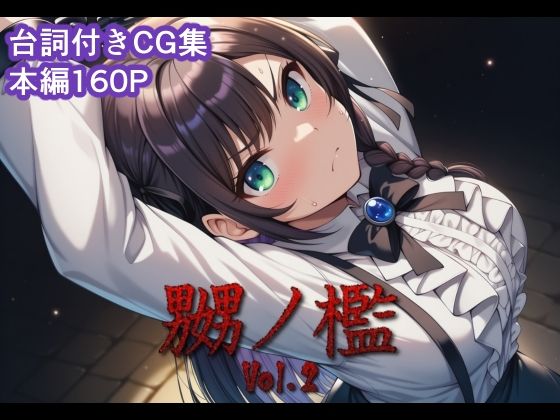 【エロ同人】拘束と羞恥に縛られた巨乳美少女が中出しとアナルで快楽に堕ちる夜の虜囚プレイ！ w