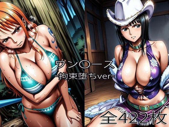 【ワンピース エロ同人】美乳巨乳が絡むフェラとパイズリ、中出しまでの欲望を抑えきれずに崩れる夜ｗ